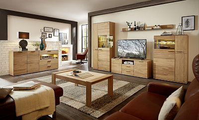 Модульная стенка для гостиной "Скарабей-1"